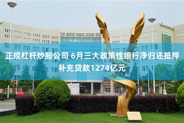 正规杠杆炒股公司 6月三大政策性银行净归还抵押补充贷款1274亿元