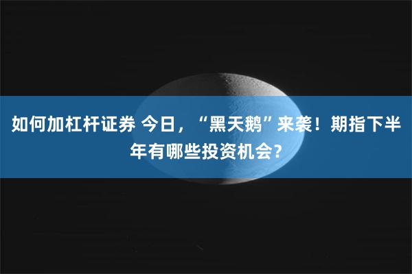 如何加杠杆证券 今日，“黑天鹅”来袭！期指下半年有哪些投资机会？