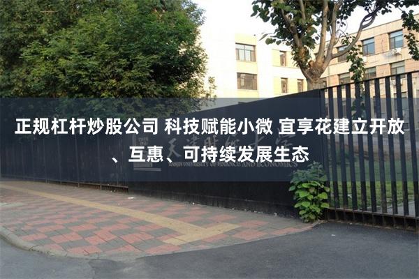 正规杠杆炒股公司 科技赋能小微 宜享花建立开放、互惠、可持续发展生态