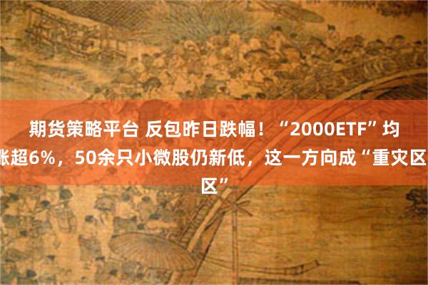 期货策略平台 反包昨日跌幅！“2000ETF”均涨超6%，50余只小微股仍新低，这一方向成“重灾区”