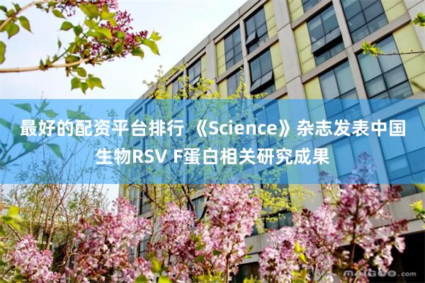 最好的配资平台排行 《Science》杂志发表中国生物RSV F蛋白相关研究成果