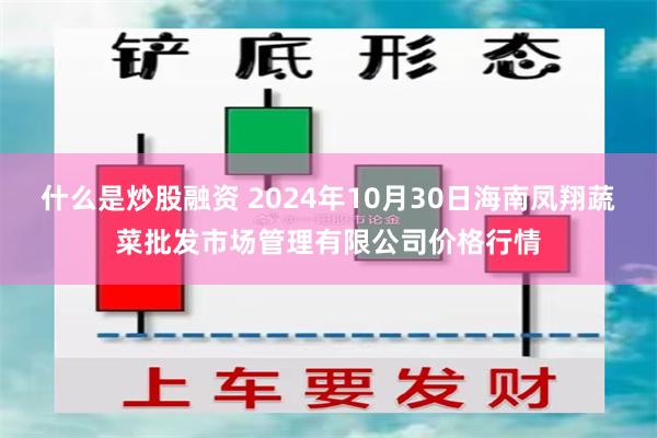 什么是炒股融资 2024年10月30日海南凤翔蔬菜批发市场管理有限公司价格行情