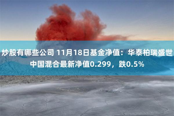 炒股有哪些公司 11月18日基金净值：华泰柏瑞盛世中国混合最新净值0.299，跌0.5%