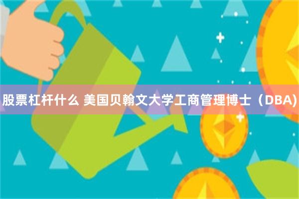 股票杠杆什么 美国贝翰文大学工商管理博士（DBA)