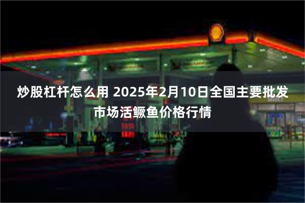 炒股杠杆怎么用 2025年2月10日全国主要批发市场活鳜鱼价格行情