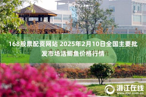 168股票配资网站 2025年2月10日全国主要批发市场活鲫鱼价格行情