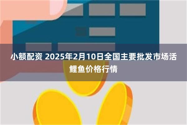 小额配资 2025年2月10日全国主要批发市场活鲤鱼价格行情