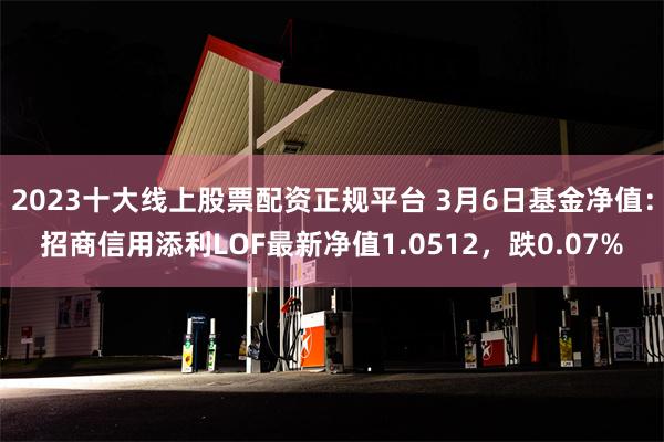 2023十大线上股票配资正规平台 3月6日基金净值：招商信用添利LOF最新净值1.0512，跌0.07%