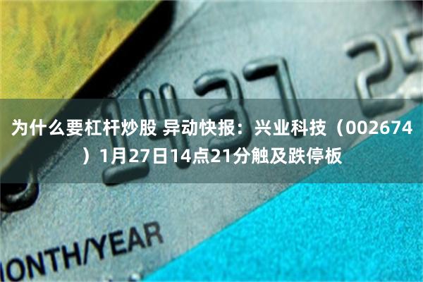 为什么要杠杆炒股 异动快报：兴业科技（002674）1月27日14点21分触及跌停板